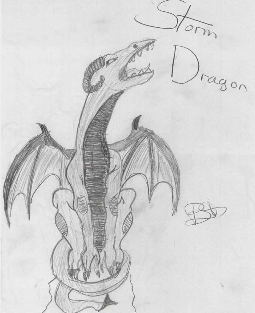 Storm Dragon by videogamegirl