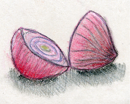 Onions w/ Pastels by violetxx