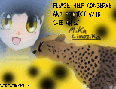 Help da cheetahs by WarawAiKenshin