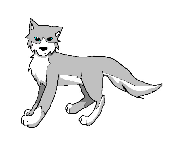Grey wolf by WarriorCatsRoar