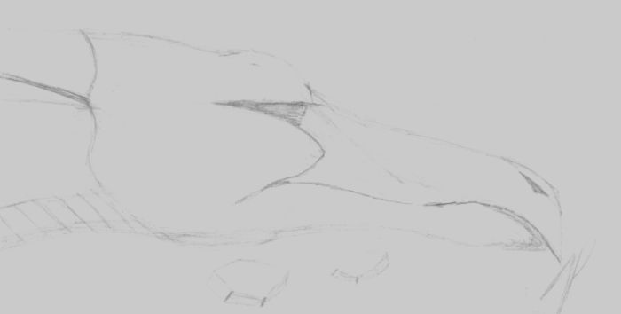 Dragon Head (sketch) by Weapon_Rider