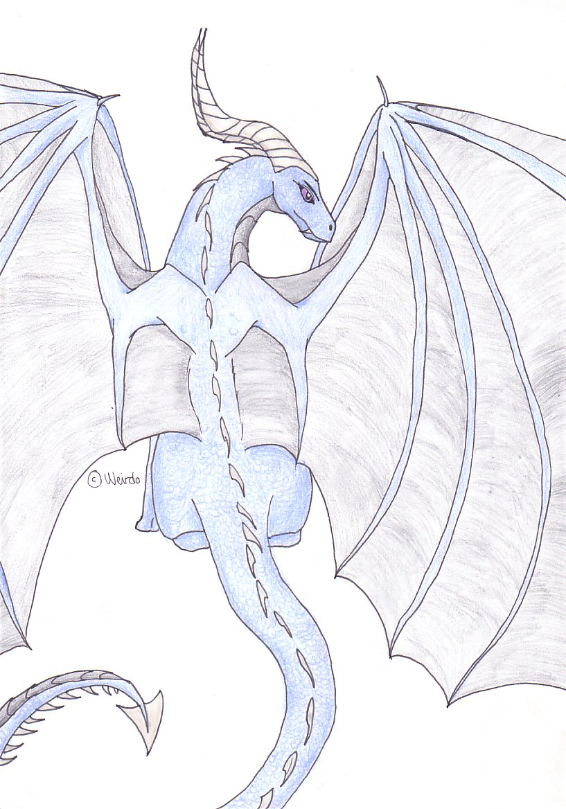 Reguested for Rileywolf-light blue female dragon by Weirdo
