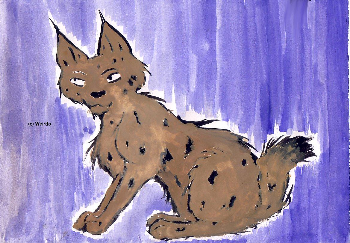 Lynx cub by Weirdo