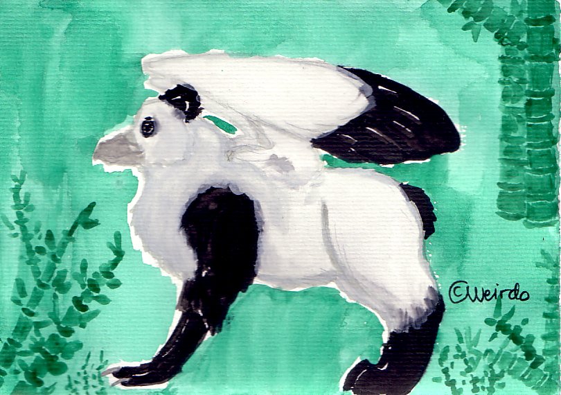 Panda gryphon! 8D by Weirdo