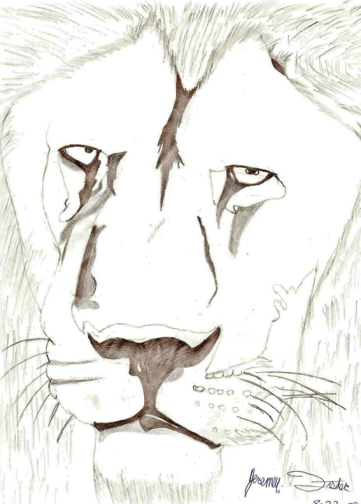Lion head by WeridOne85314