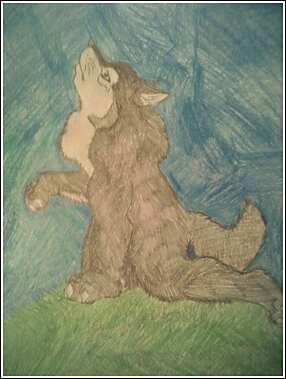 Oreo the Werewolf by WhiteMoonWolf