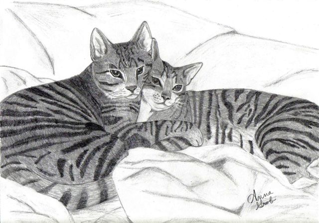 two cats by WhiteWolfGurl