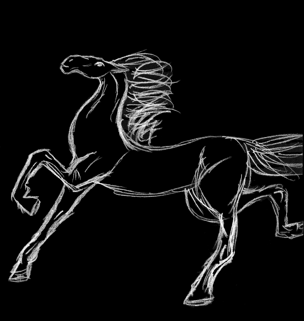 ~Black Stallion~ by White_Queen