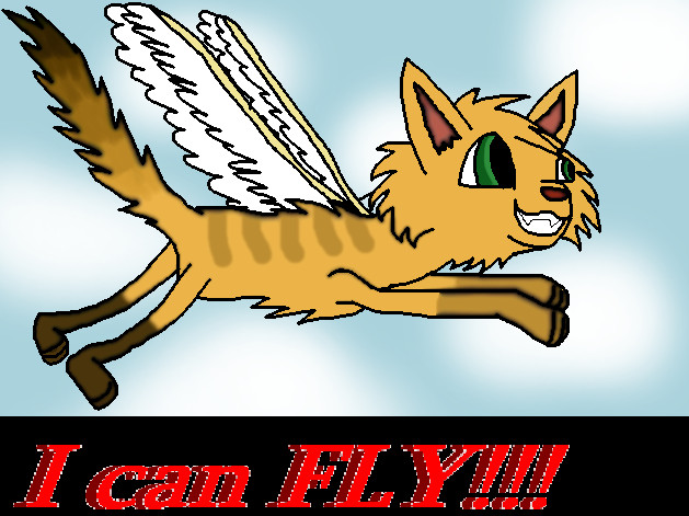 I can Fly!!! by Willowcat