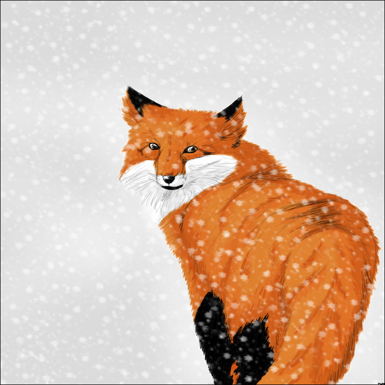-+Fox in the Snow+- by WindRider01