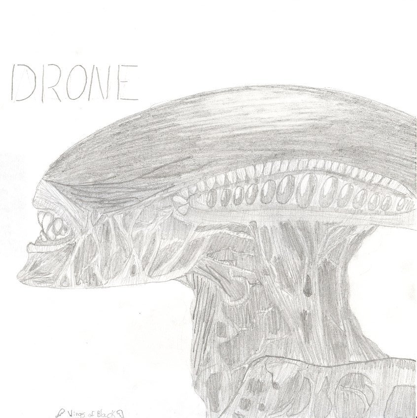 Alien Drone by Wings_Of_Black