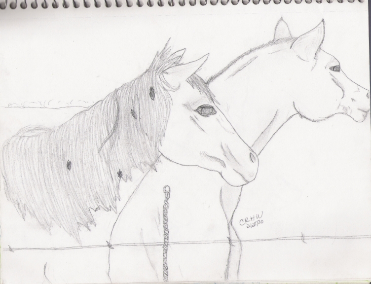 Two Horses by WishingIWasDifferent