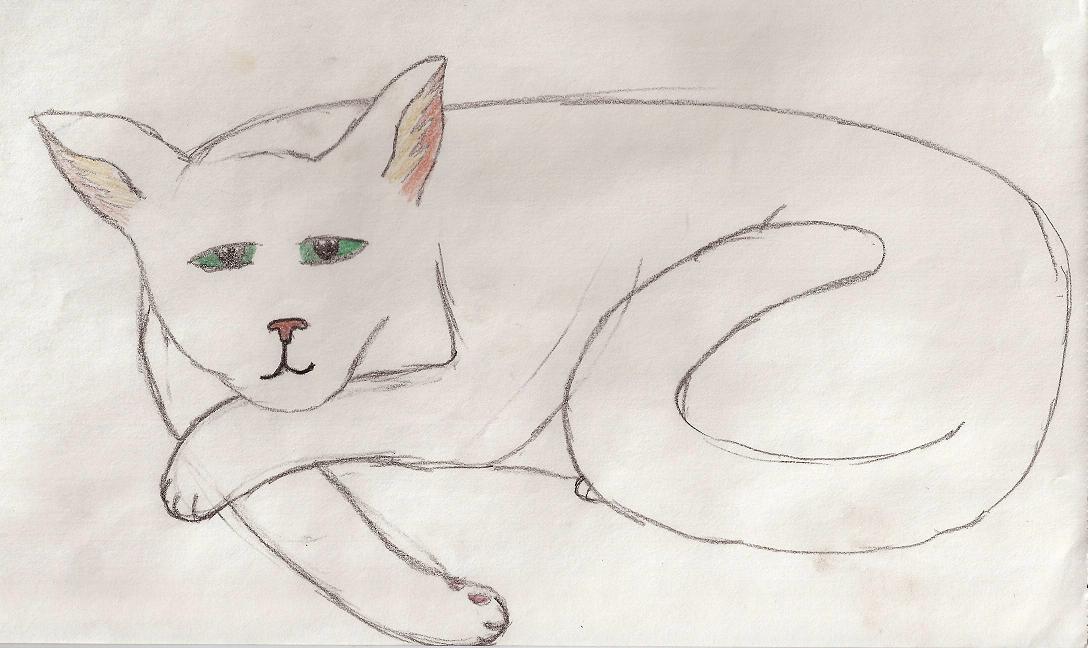 white kitty by Wishsayer