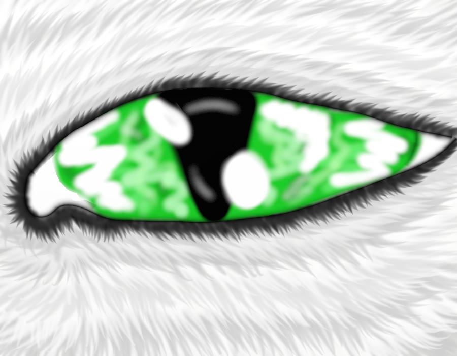 Whitewing's eye by Wishsayer
