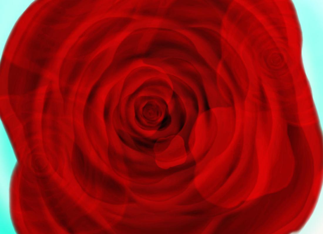 big red rose by Wishsayer