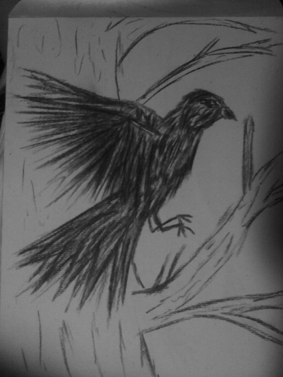 charcoal raven by Wishsayer
