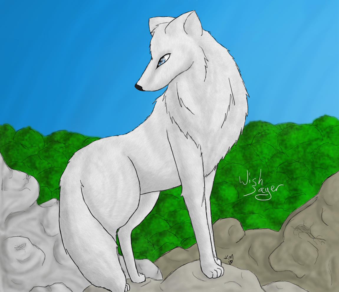 lone wolf by Wishsayer