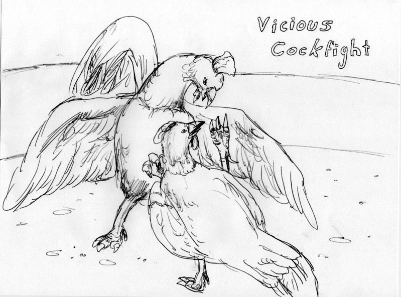Vicious Cockfight by WizardoftheWood