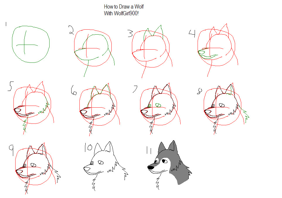 How to Draw a Wolf WolfGirl style! by WolfGirl900
