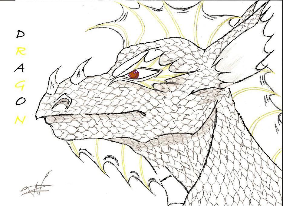 Dragon by WolfZakuro