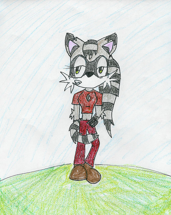 Rin the Racoon by Wolf_Queen