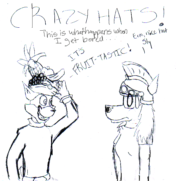 RANDOM SLY DOODLE- CRAZY HATS! by Wolfeh