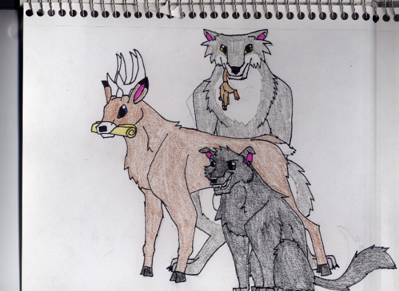 Messers Moony, Padfoot, Wormtail, and Prongs by Wolffeather