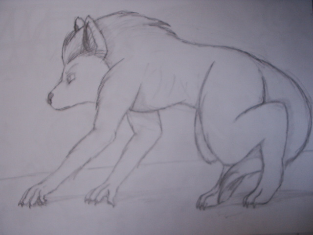 *~Werewolf~* by Wolflife