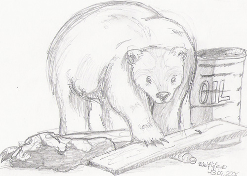 Bear by Wolflife