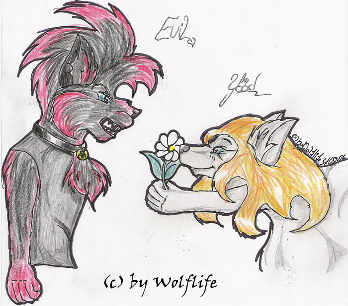 Good and Evil by Wolflife