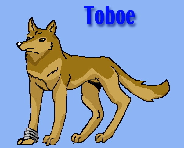 Toboe by Wolfluvr