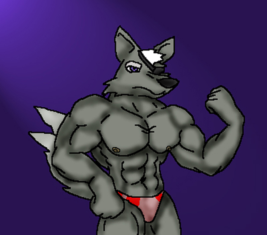 Star Wolf Beefed - Wolf O'Donnell 01 by Wolfox_Okamichan
