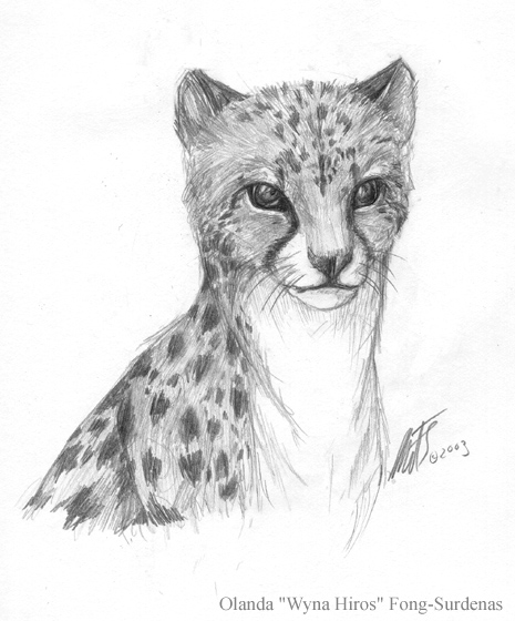 Cheetah by WynaHIros