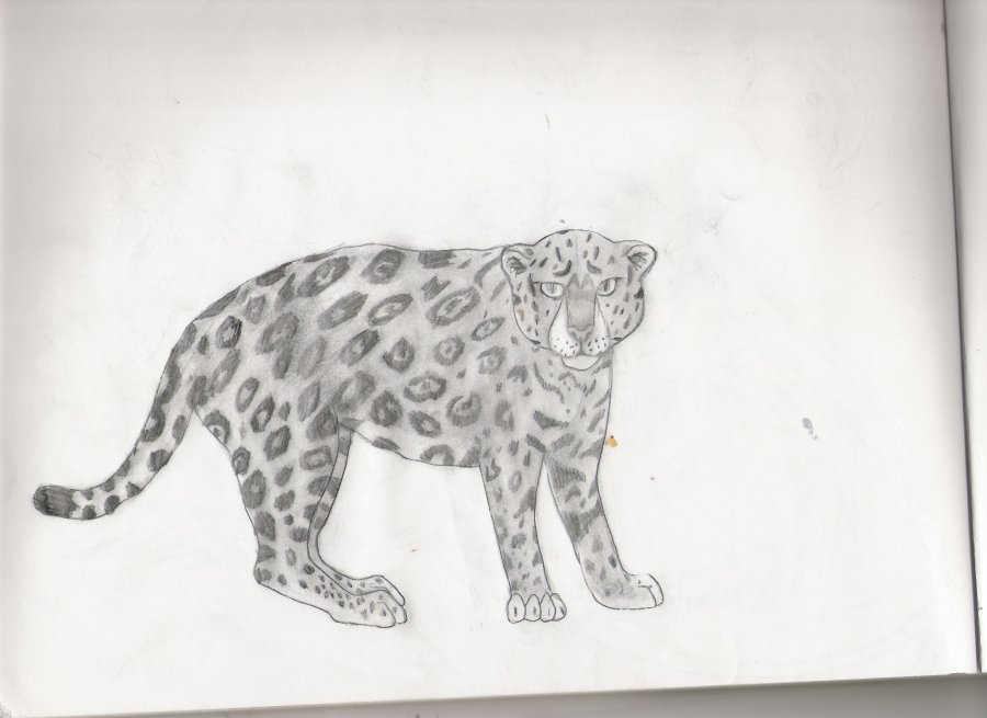 jaguar by werewolves_of_darkness_and_lig