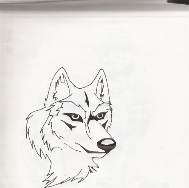 wolf head by werewolves_of_darkness_and_lig