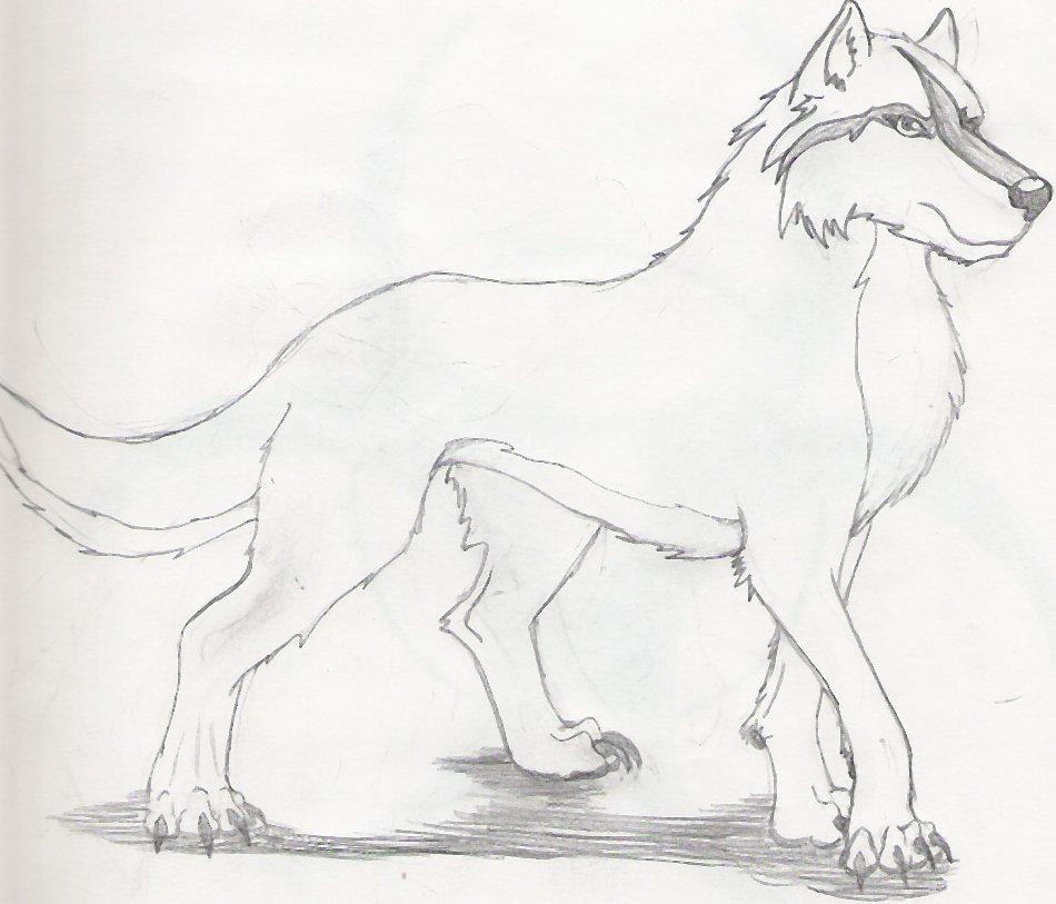wolf pose 2 by werewolves_of_darkness_and_lig