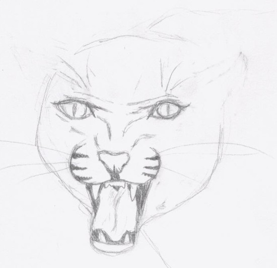 Snarly Cat (unfinished) by whiteislemaiden