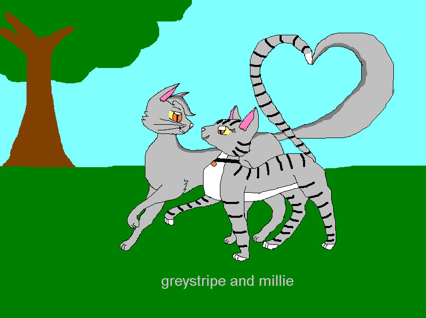 greystripe and millie in love by whitekitten