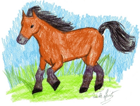 Horse Running by wild_spirit