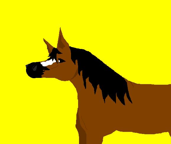 Weird looking horse(please read desc..) by wild_spirit