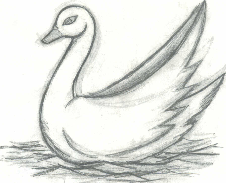 swan by willwolf
