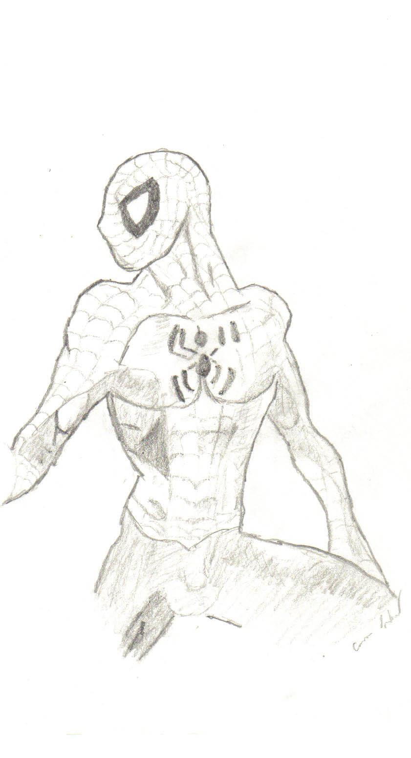 Spiderman by willywonka