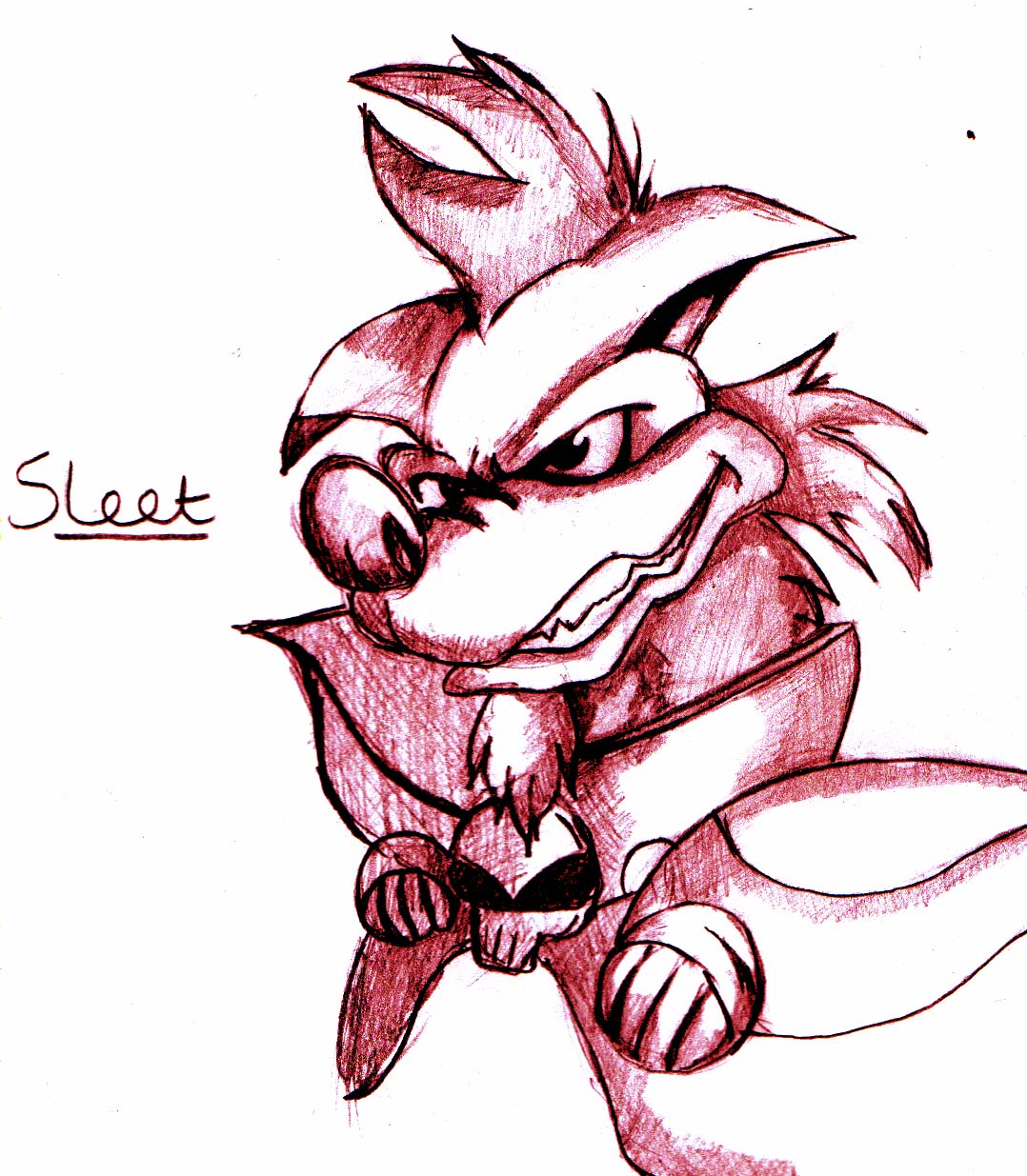 Sleet by windflame