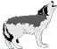 Grey Wolf by winged_white_wolf