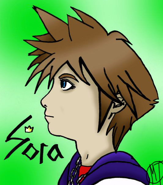 KH-Sora profile view by wish4love