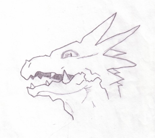 Dragon head by wolf_boy_jake