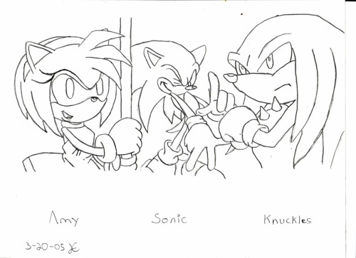 Amy - Sonic - Knuckles by wolf_boy_jake