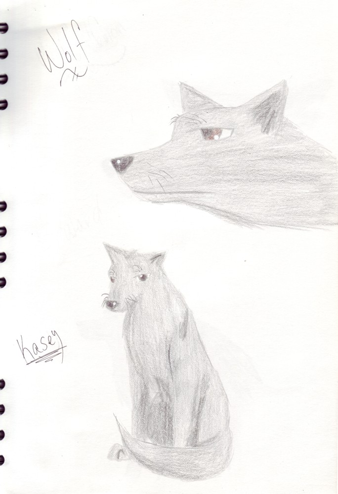Wolf Breed 1: Wolf by wolf_gang