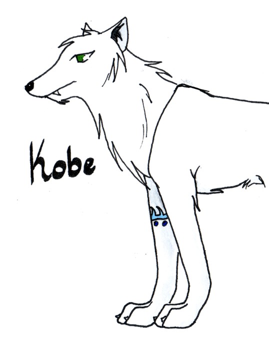 Kobe by wolf_gang