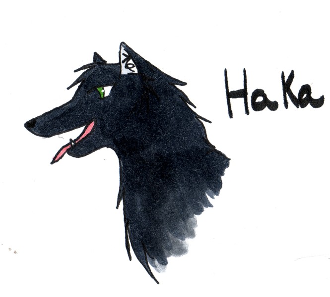 Haka by wolf_gang